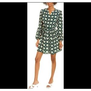 A.L.C.‎ shirt dress size 4 blousy braided birds kelly green long sleeve "Joly"